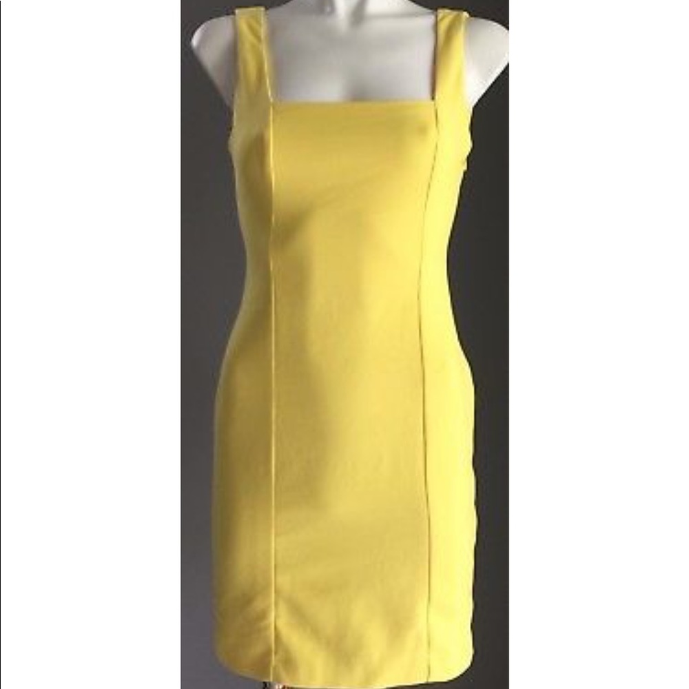 NWOT Zara Mini Bodycon Dress